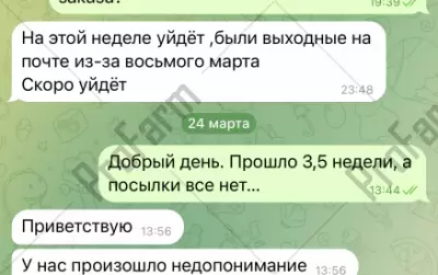 Отзыв от клиента "Гамлет"