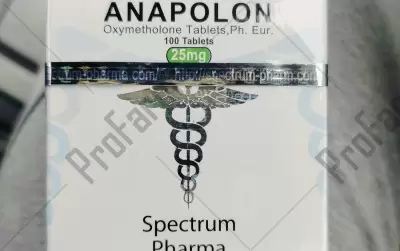 Отзыв от клиента "Гром"