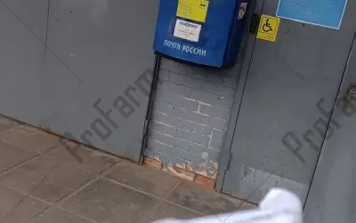 Отзыв от клиента "Добрый человек"