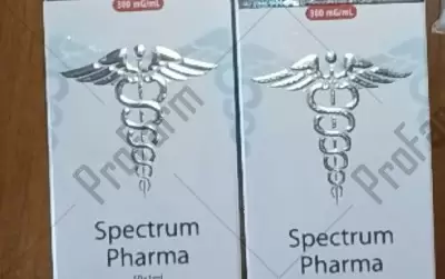 Отзыв от клиента "Азатот"