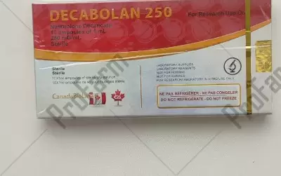 Отзыв от клиента "Павел"