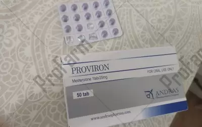 Отзыв от клиента "Святоглав"