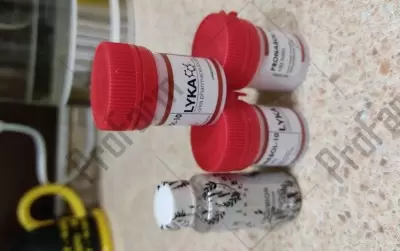 Отзыв от клиента "Антон"