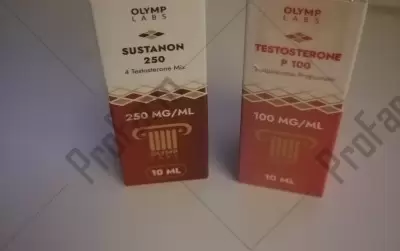 Отзыв от клиента "Фил"