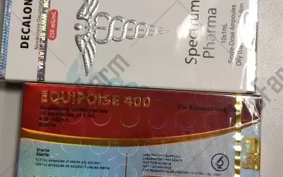 Отзыв от клиента "Алексей"