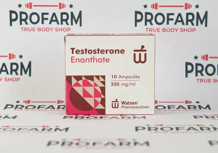 Watson New Testosterone Enanthate 250mg/ml 10 ампул