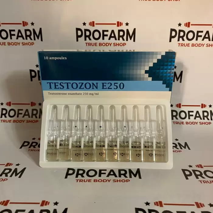 Horizon Testozon E 250mg/ml - цена за 10 ампул просрок до 10.2024