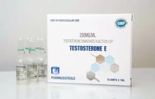 Ice Testosterone E 250mg/ml - цена за 1 ампулу