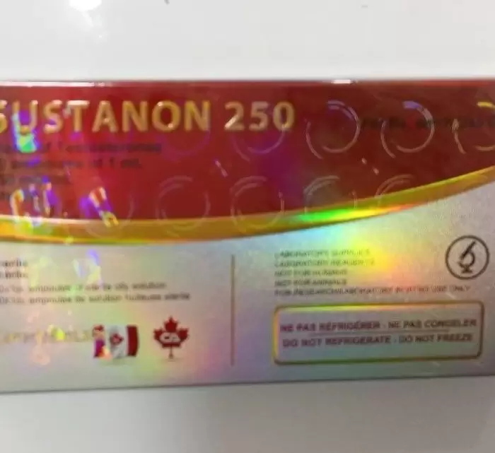 Sustanon 250мг/мл 10 ампул CanadaBioLabs