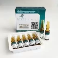 TEST P Magnus 100мг\мл 10 ампул