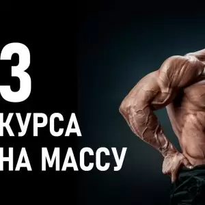 3 курса на массу для новичка